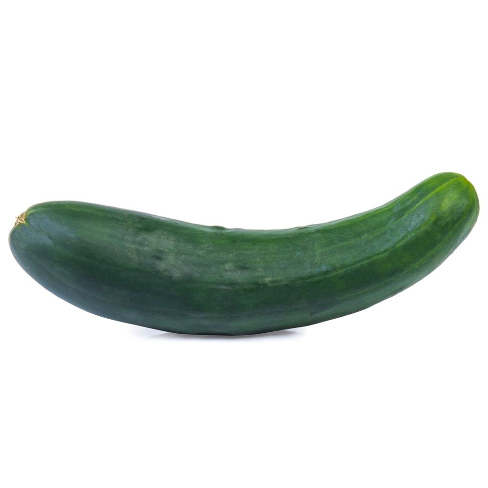 Pepino Comum Kg