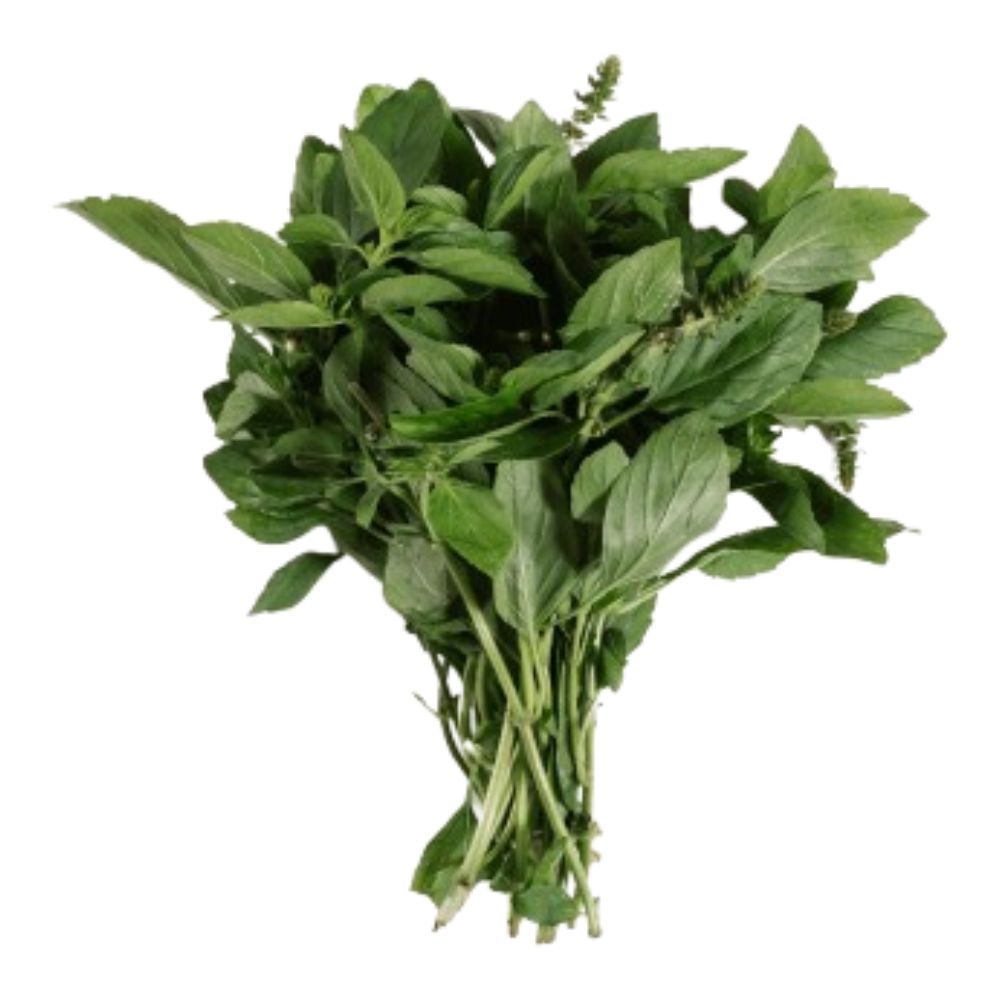 Manjericão Gourmet Salada Fresca