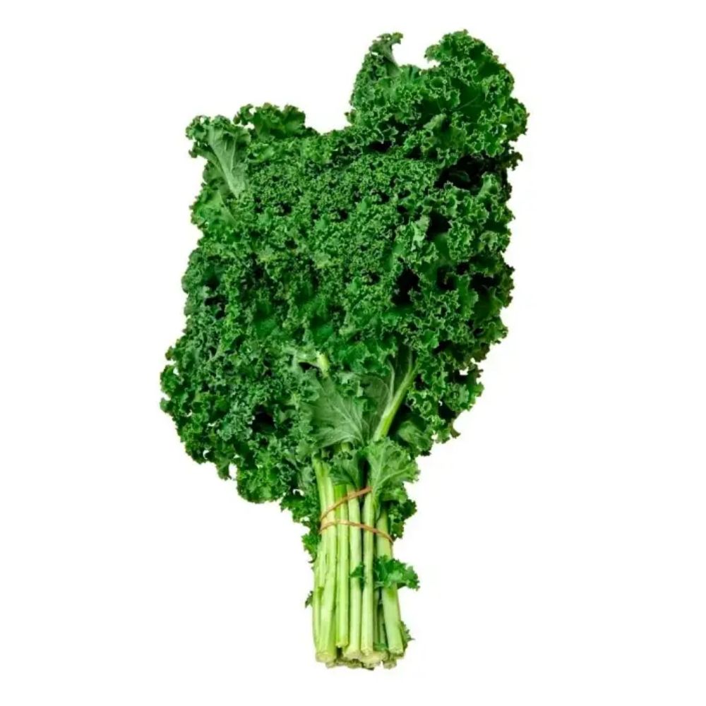 Couve-Kale Orgânica Sítio Cambara