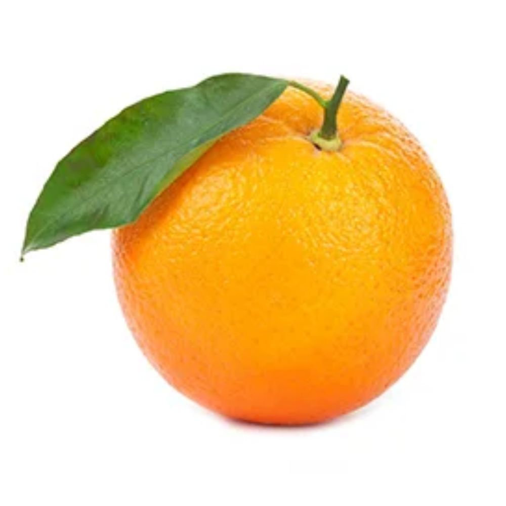 Laranja Valência Importada kg