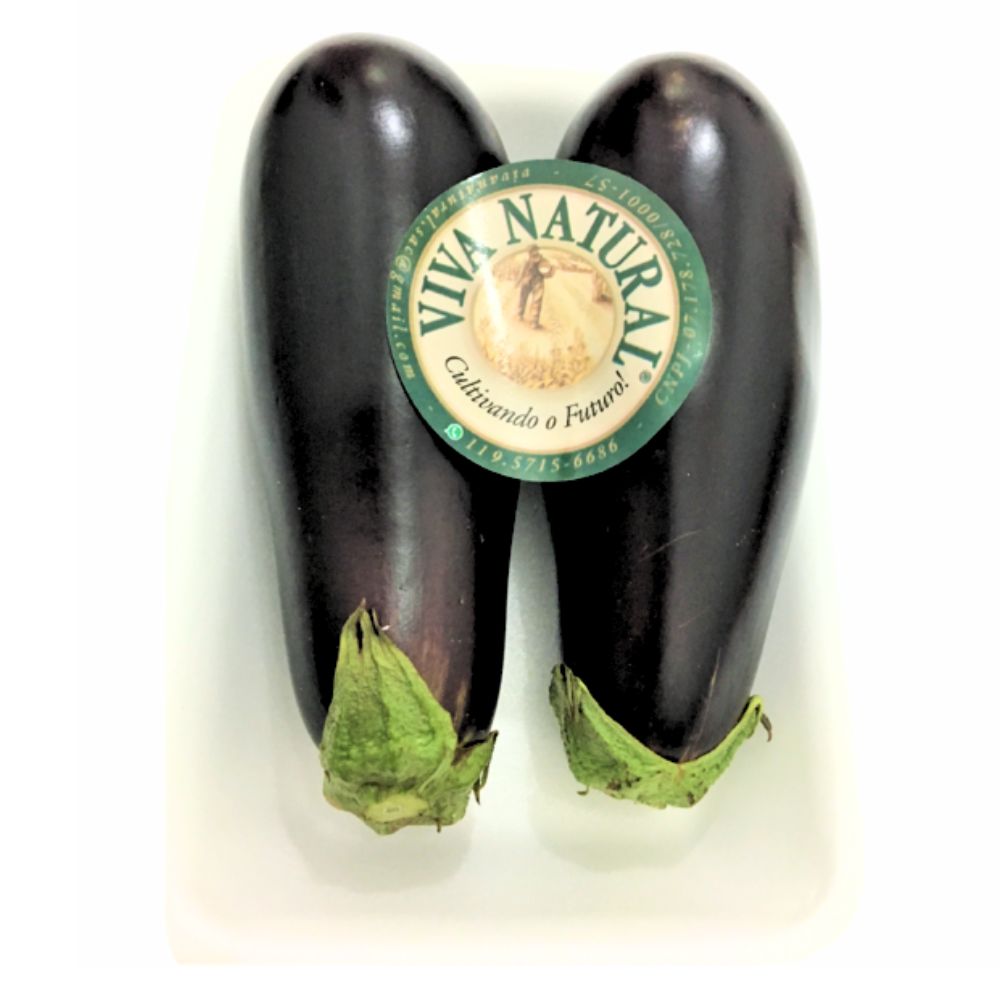 Berinjela Comum Viva Natural 400g