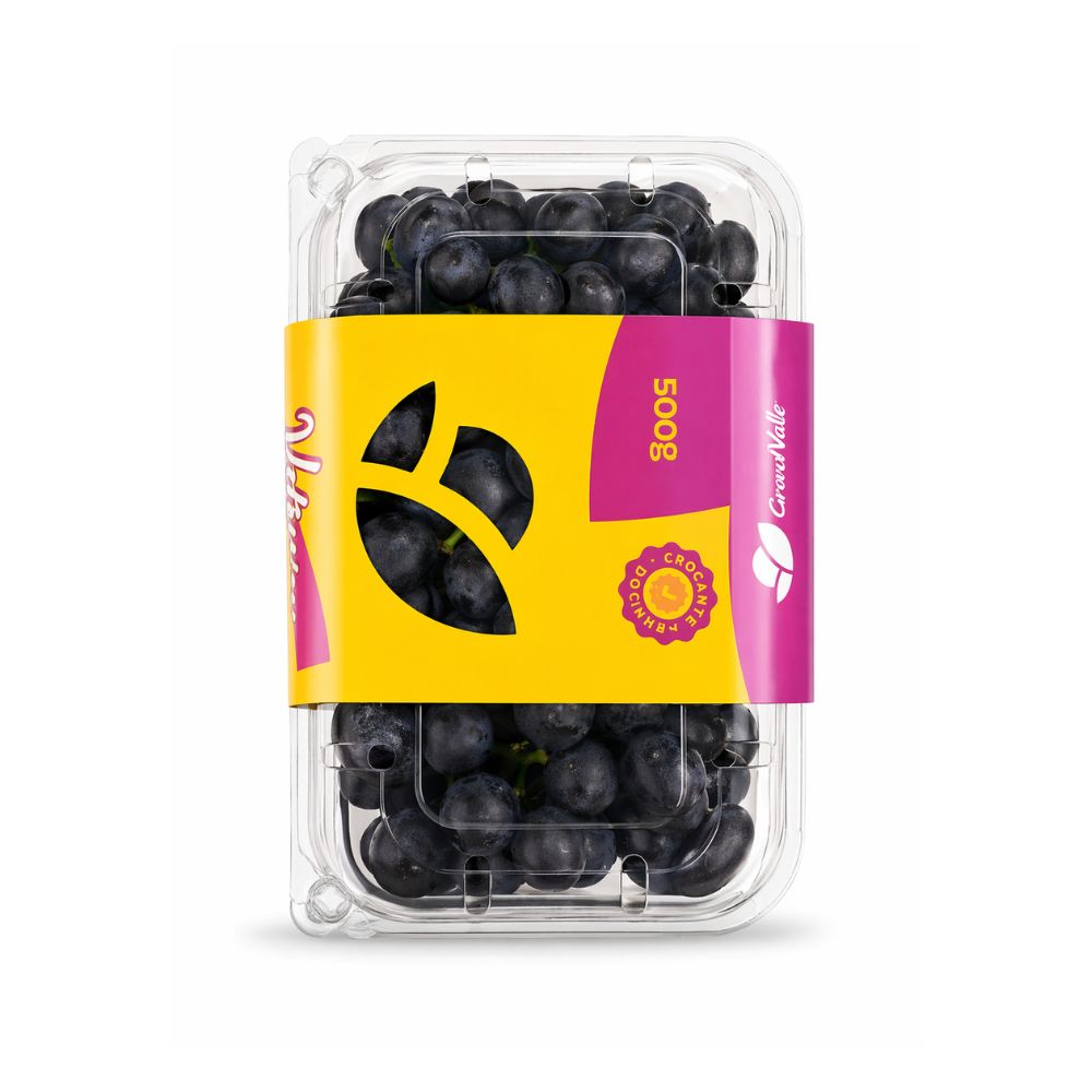 Uva Vitória Grand Valle 500g